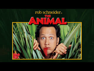 animal (2001) bd 720 translation: professional, polyphonic.